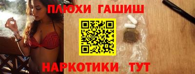 сатива Гай