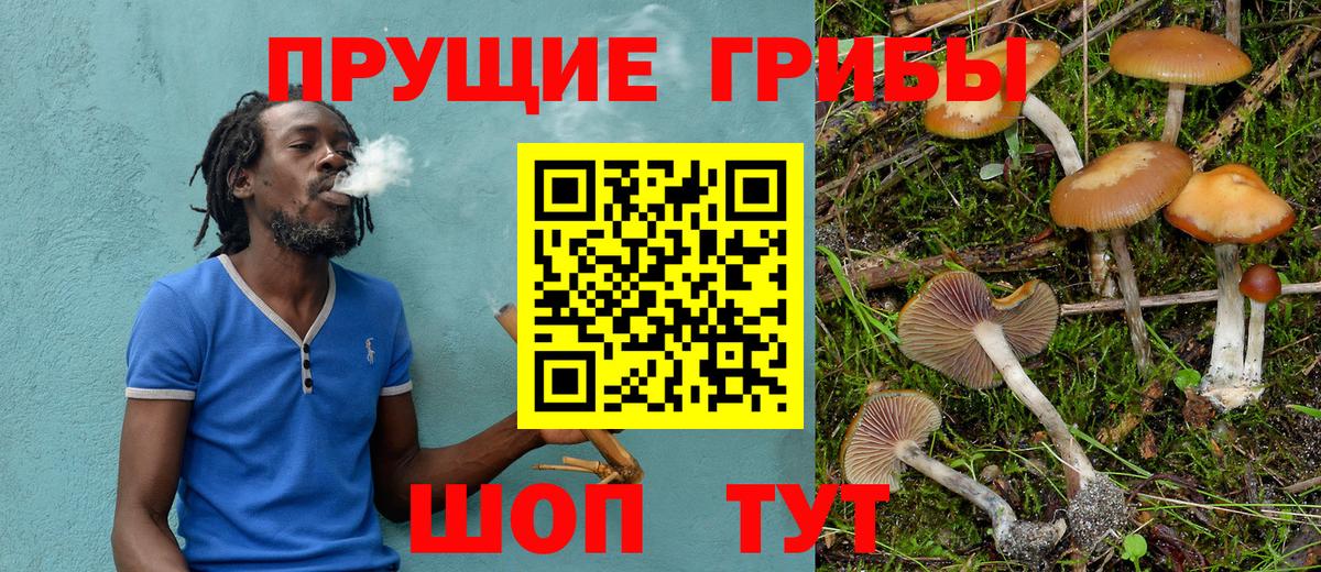 Галлюциногенные грибы GOLDEN TEACHER Нижний Тагил